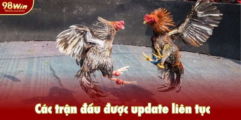 Các trận đấu được update liên tục