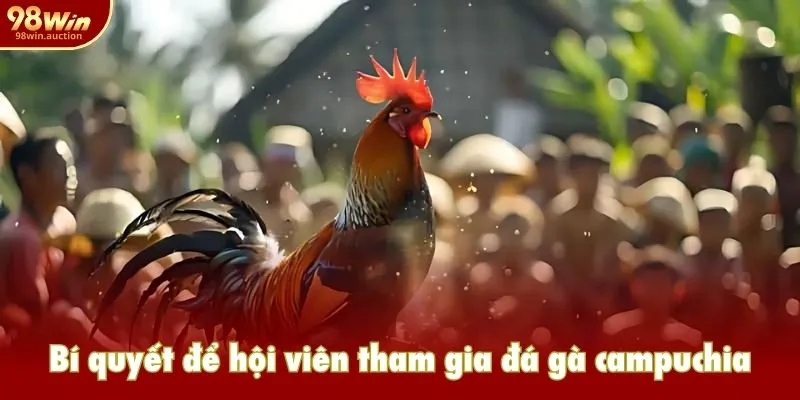 Bí quyết để hội viên tham gia đá gà campuchia ấn tượng Bí quyết để hội viên tham gia đá gà campuchia ấn tượng