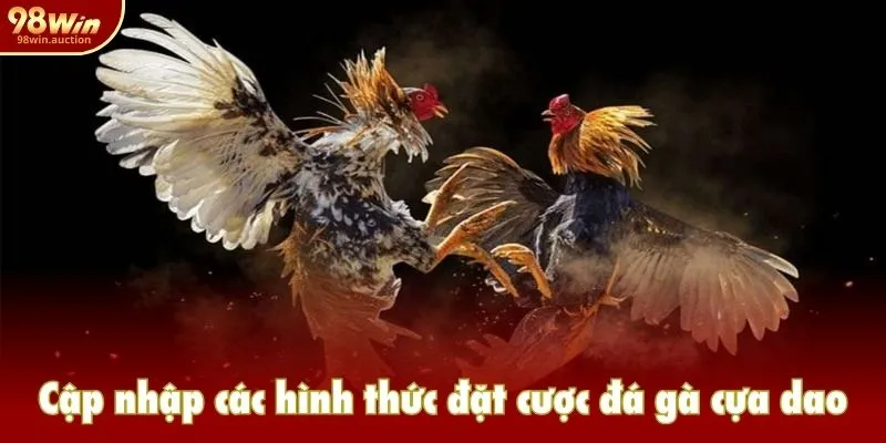 Cập nhập các hình thức đặt cược đá gà cựa dao Cập nhập các hình thức đặt cược đá gà cựa dao