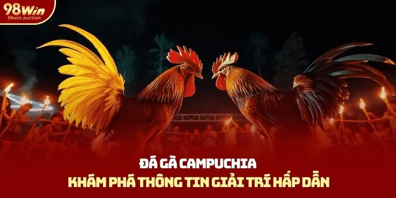 Đá Gà Campuchia - Khám Phá Thông Tin Giải Trí Hấp Dẫn