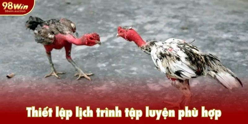 Thiết lập lịch trình tập luyện phù hợp Thiết lập lịch trình tập luyện phù hợp