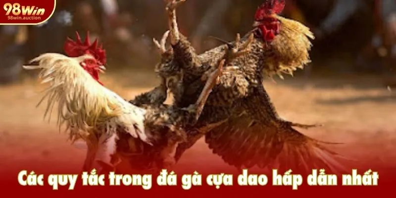 Các quy tắc trong đá gà cựa dao hấp dẫn nhất Các quy tắc trong đá gà cựa dao hấp dẫn nhất