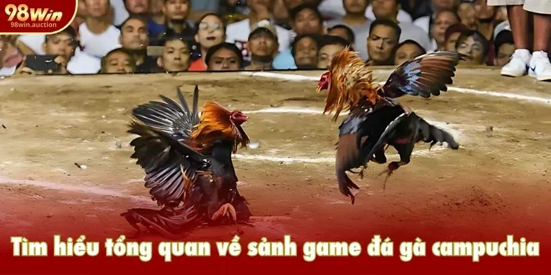 Tìm hiểu tổng quan về game đá gà campuchia ấn tượng Tìm hiểu tổng quan về game đá gà campuchia ấn tượng