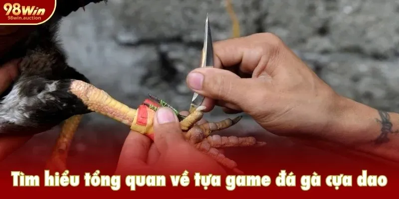 Tìm hiểu tổng quan về hình thức chơi đá gà cựa dao Tìm hiểu tổng quan về hình thức chơi đá gà cựa dao